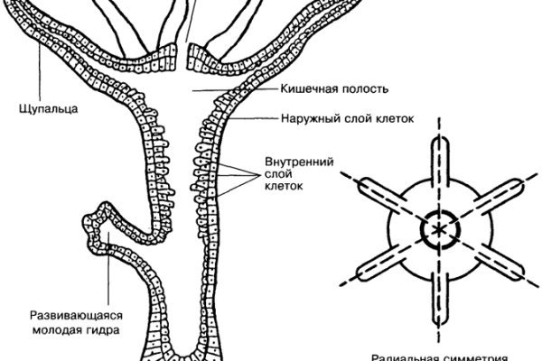 Кракен маркетплейс