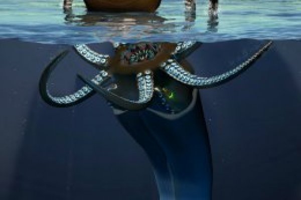 Www kraken 20at net