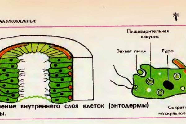 Кракен шоп это