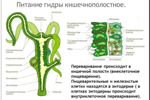 Kraken маркетплейс как зайти