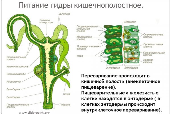 Кракен рабочая ссылка 2024